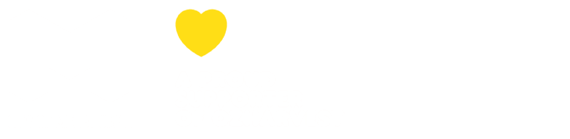 SBLive2027 - Supporting Partners
