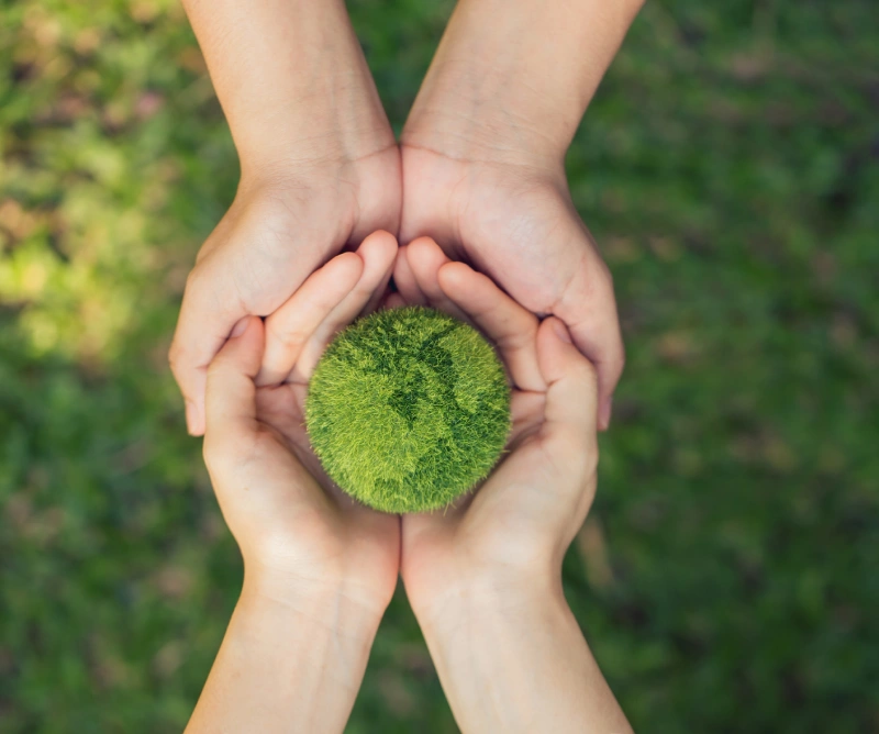 Two hands holding a ball of green grass.