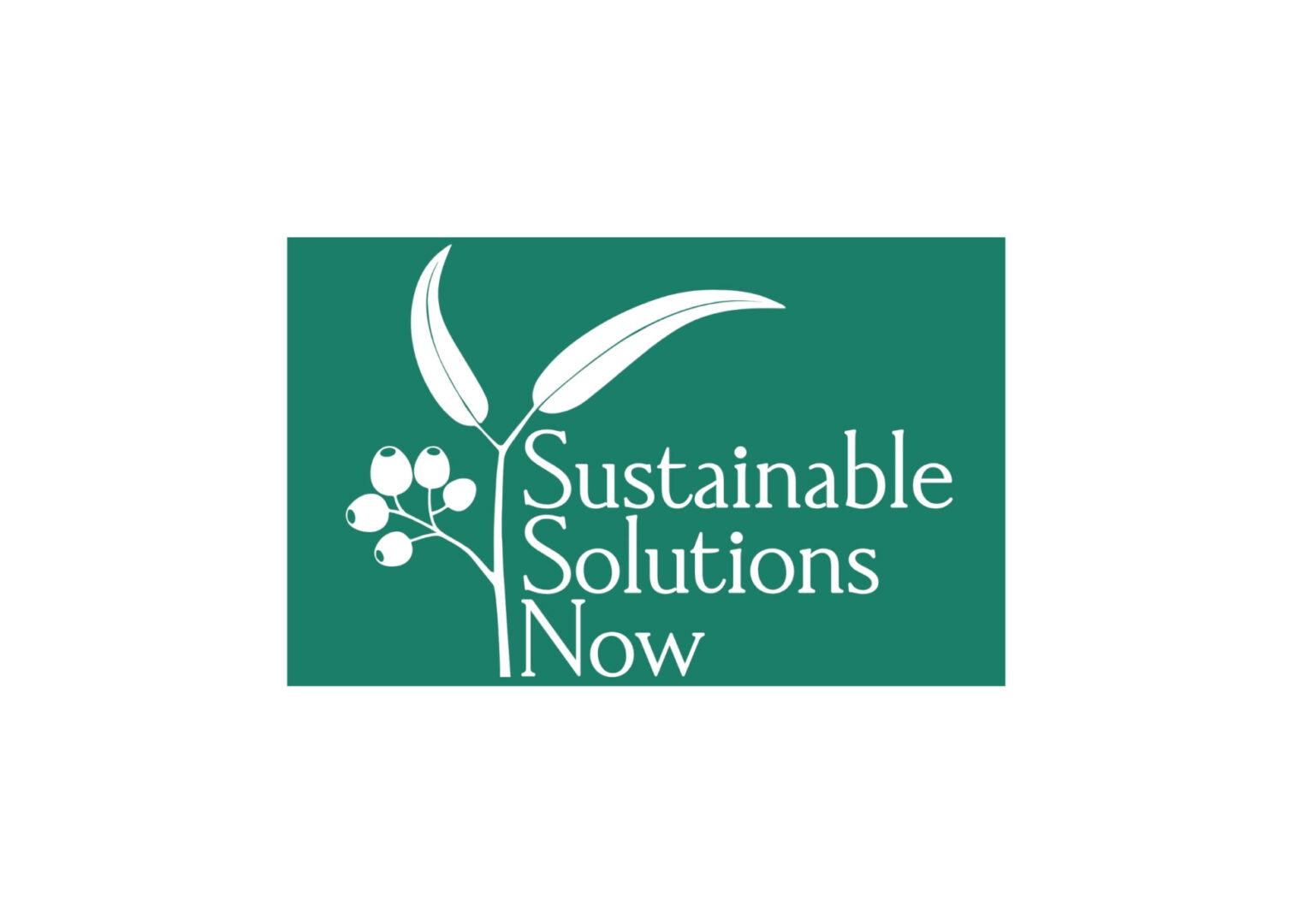 Sustainable Solutions Now | Climate tech startup company focused on sustainability consulting | Sustainability Business Live